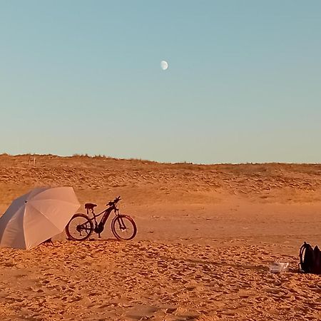 Le Spot Studio'Hotel "Les Pieds Dans Le Sable " 塞尼奥斯 外观 照片