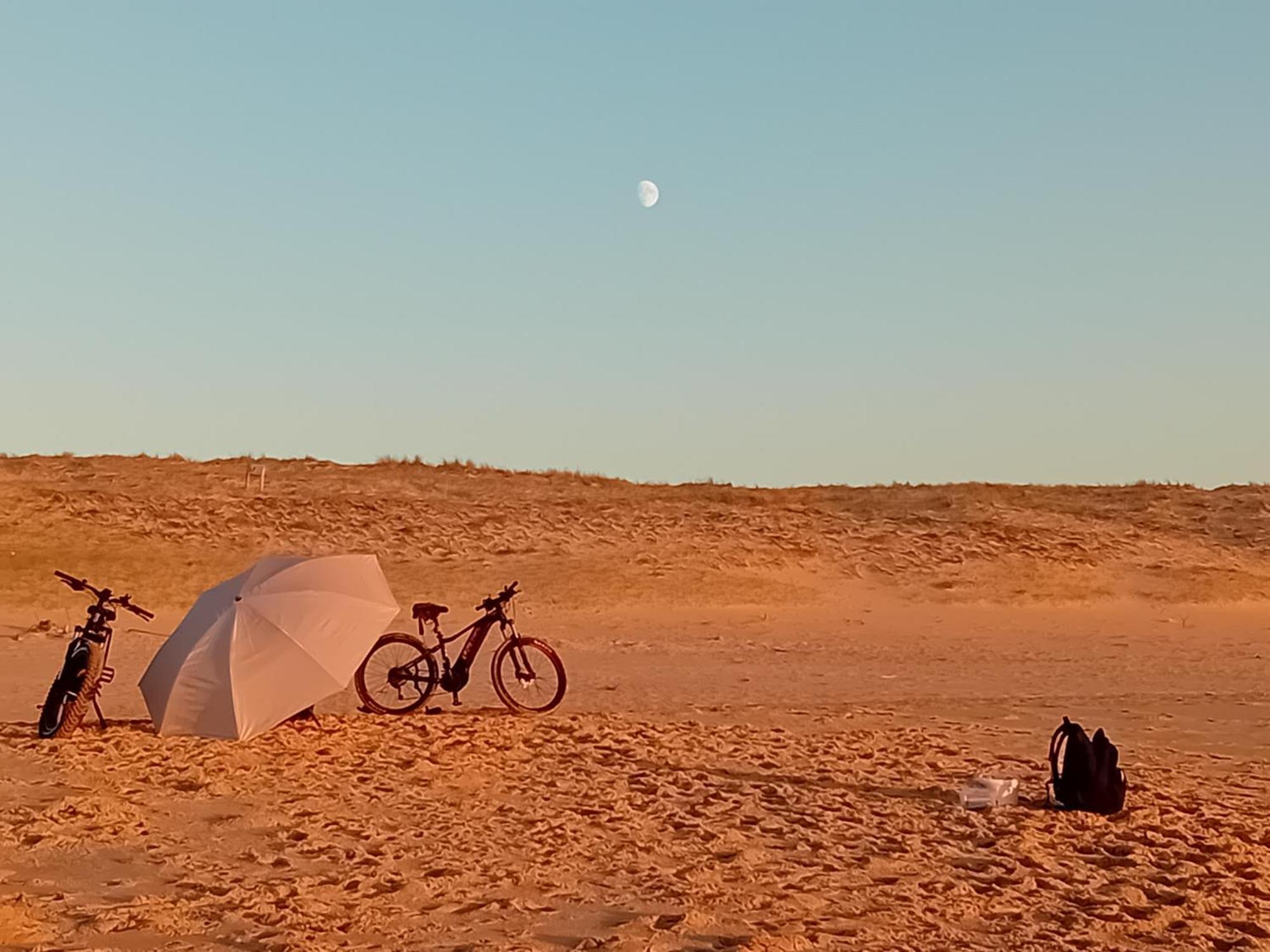 Le Spot Studio'Hotel "Les Pieds Dans Le Sable " 塞尼奥斯 外观 照片